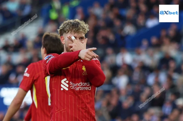 Brighton đấu với Liverpool: Cú lội ngược dòng ngoạn mục